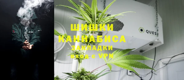 дживик Осинники
