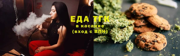 дживик Осинники