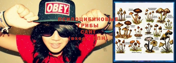 дживик Осинники