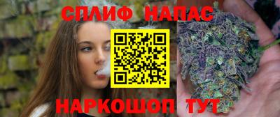молекула духа Жуковский