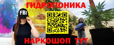 молекула духа Жуковский