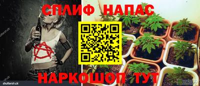 метадон Заволжье