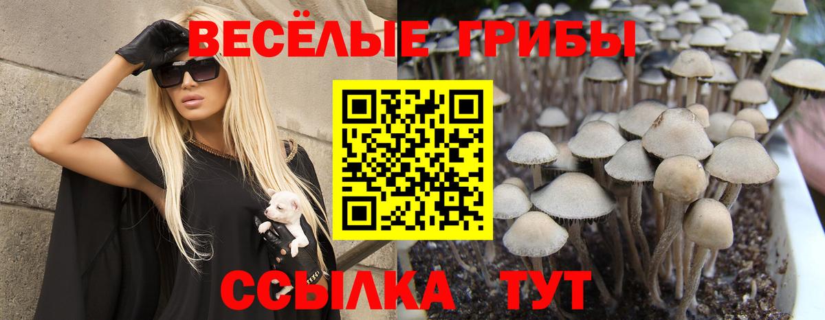 Псилоцибиновые грибы Лыткарино